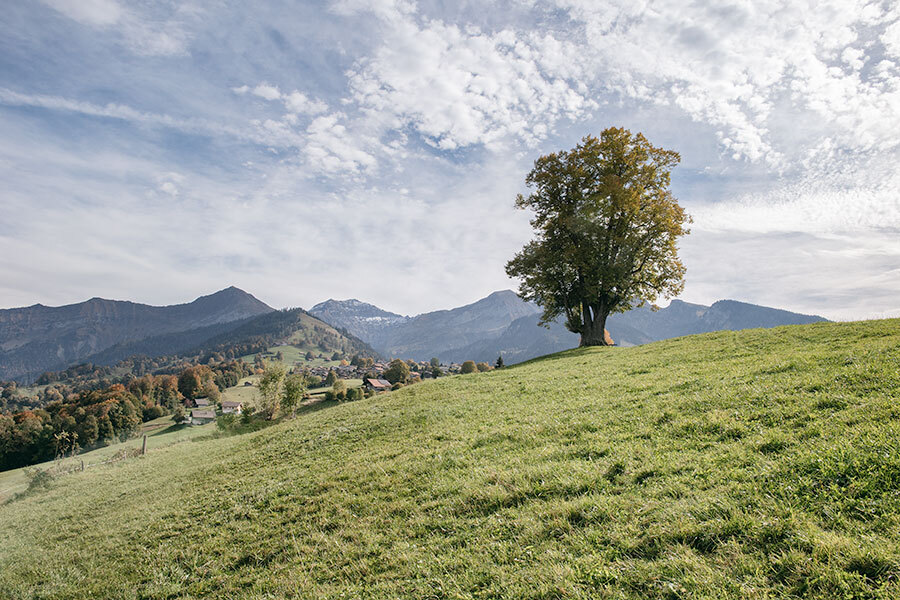 Altersheim auf dem Land