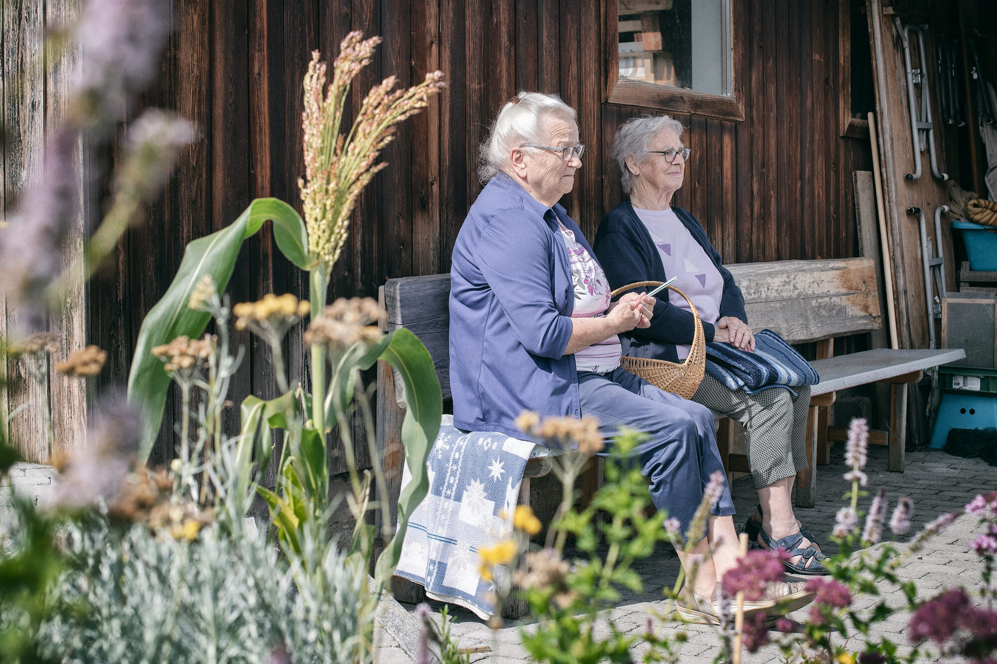 Kontakt mit dem Generationenhaus Papillon Linden